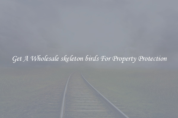 Get A Wholesale skeleton birds For Property Protection