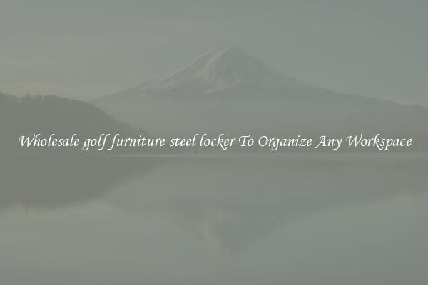 Wholesale golf furniture steel locker To Organize Any Workspace
