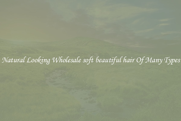 Natural Looking Wholesale soft beautiful hair Of Many Types