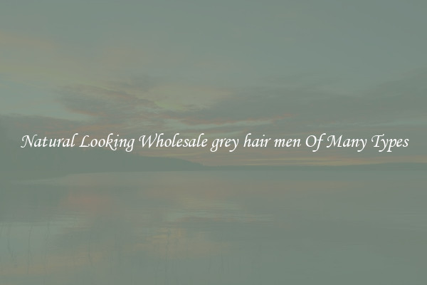 Natural Looking Wholesale grey hair men Of Many Types