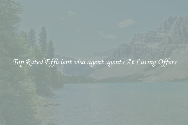 Top Rated Efficient visa agent agents At Luring Offers