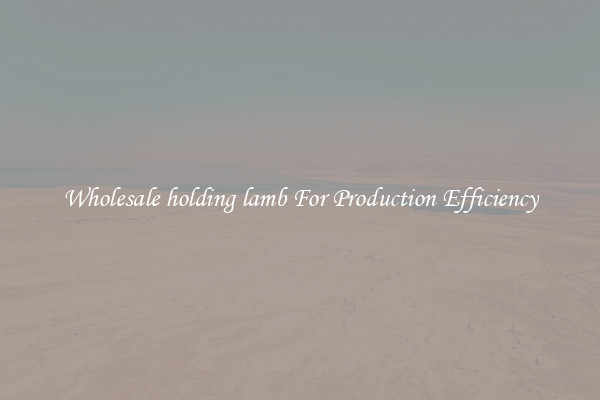 Wholesale holding lamb For Production Efficiency