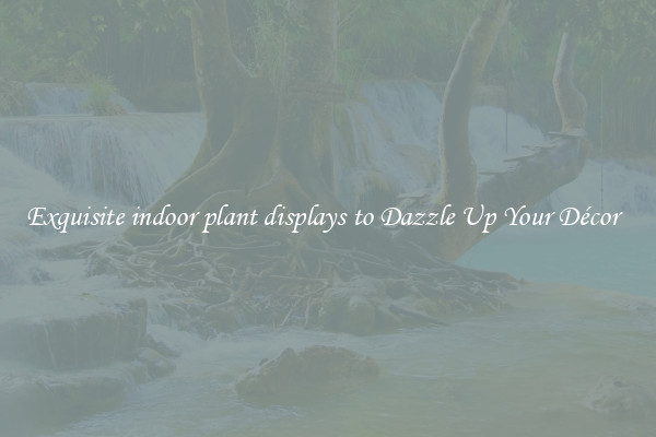 Exquisite indoor plant displays to Dazzle Up Your Décor  