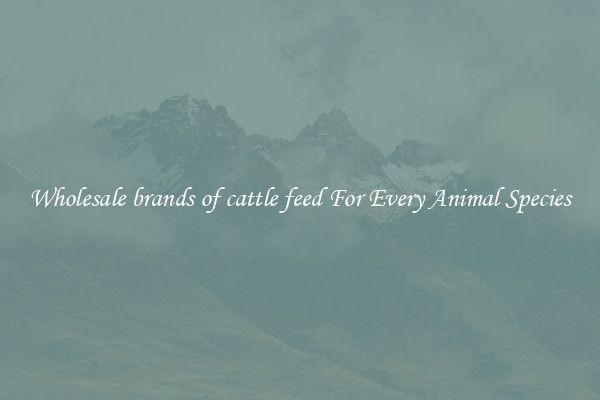 Wholesale brands of cattle feed For Every Animal Species