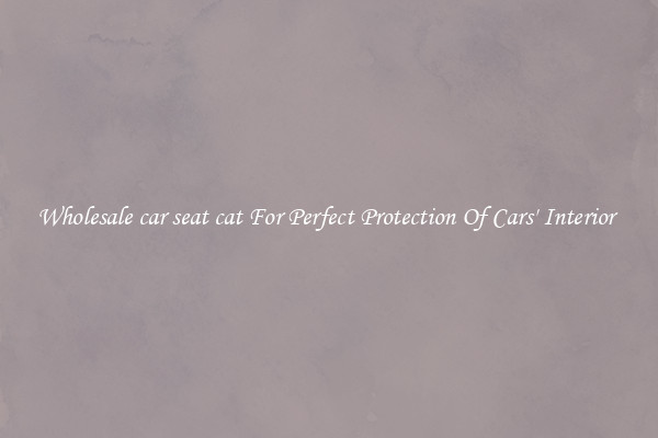 Wholesale car seat cat For Perfect Protection Of Cars' Interior 