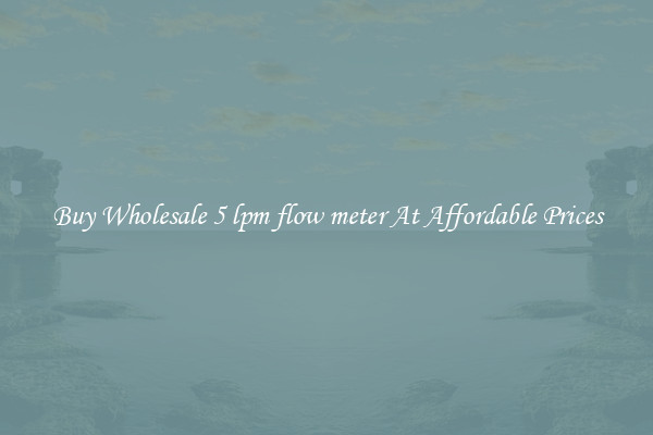Buy Wholesale 5 lpm flow meter At Affordable Prices