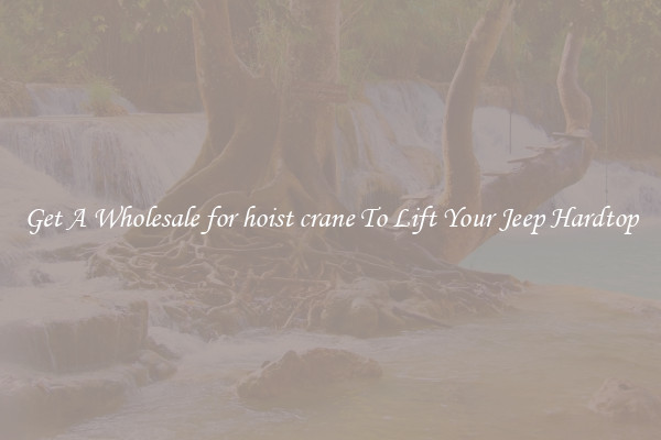 Get A Wholesale for hoist crane To Lift Your Jeep Hardtop