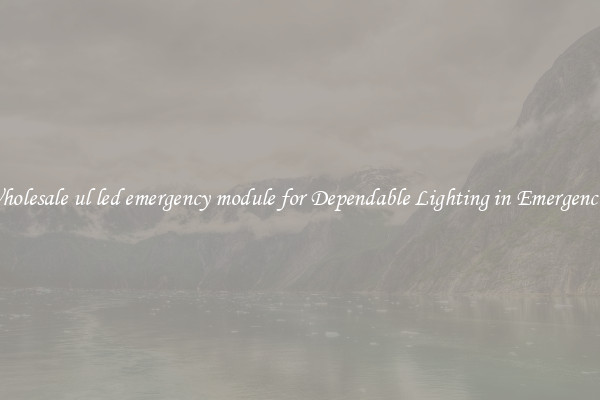 Wholesale ul led emergency module for Dependable Lighting in Emergencies