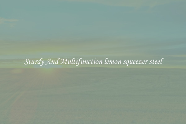Sturdy And Multifunction lemon squeezer steel