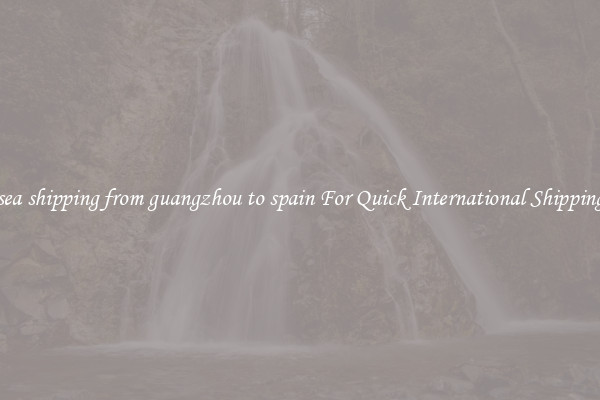 sea shipping from guangzhou to spain For Quick International Shipping