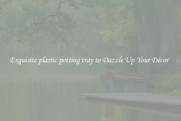 Exquisite plastic potting tray to Dazzle Up Your Décor  