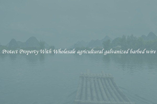 Protect Property With Wholesale agricultural galvanized barbed wire