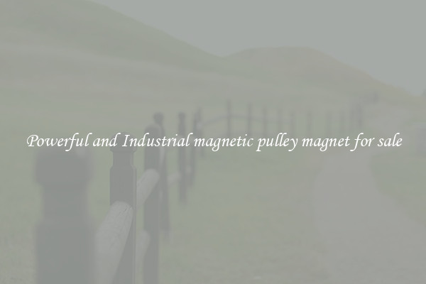 Powerful and Industrial magnetic pulley magnet for sale
