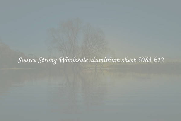 Source Strong Wholesale aluminium sheet 5083 h12