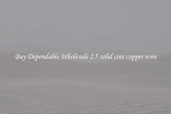 Buy Dependable Wholesale 2.5 solid core copper wire