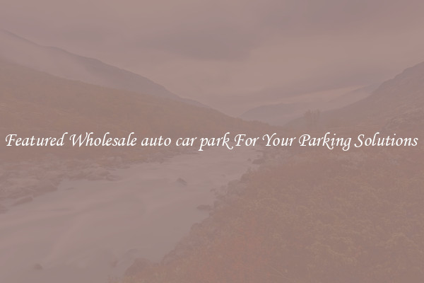 Featured Wholesale auto car park For Your Parking Solutions 