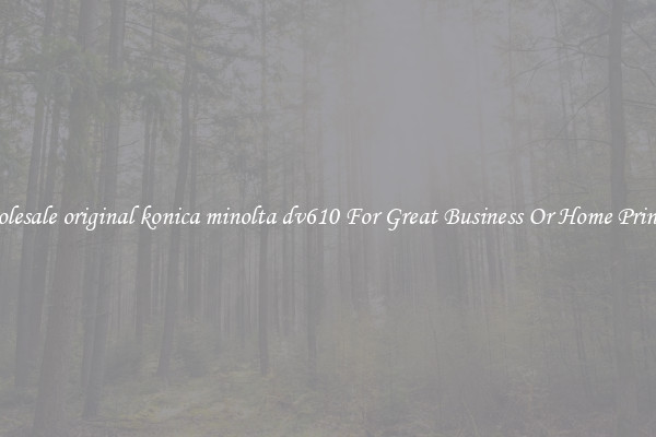 Wholesale original konica minolta dv610 For Great Business Or Home Printing