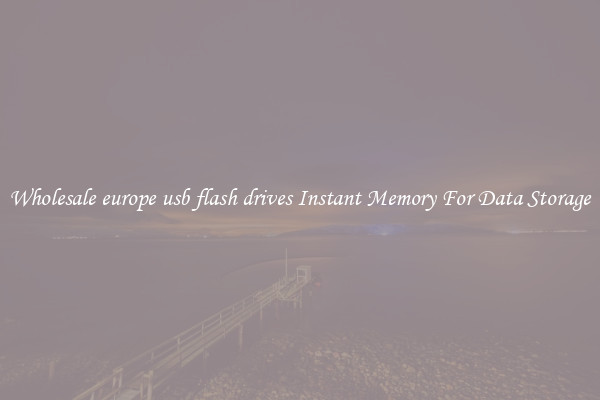 Wholesale europe usb flash drives Instant Memory For Data Storage
