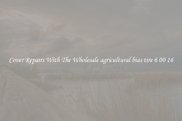  Cover Repairs With The Wholesale agricultural bias tire 6 00 16 
