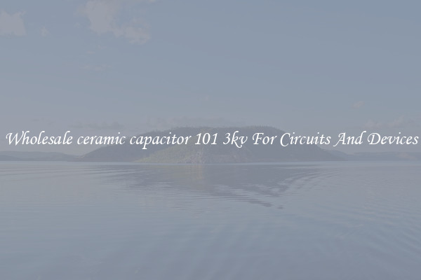 Wholesale ceramic capacitor 101 3kv For Circuits And Devices