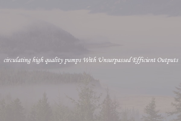 circulating high quality pumps With Unsurpassed Efficient Outputs